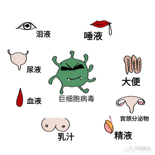 孕妇巨细胞病毒偏高怎么办