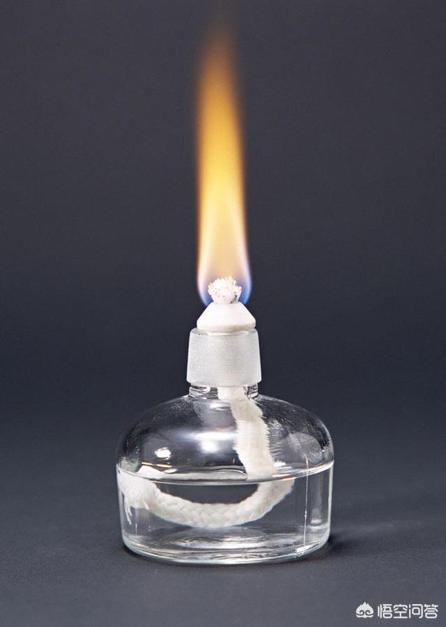 巴氏小体失活的意义是什么:食物加热消毒杀菌后，死了的细菌变成了什么？