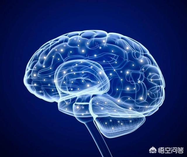 你敢想象一亿年后的世界吗？人类将变成什么样？
