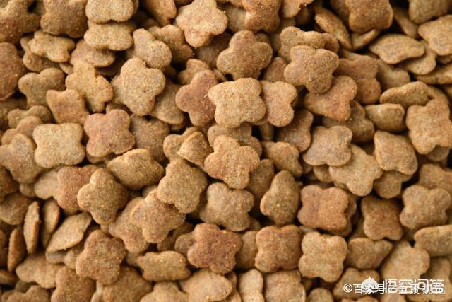 素力高海藻粉对猫咪的作用:英国短毛猫吃什么牌子的猫粮比较好呢？