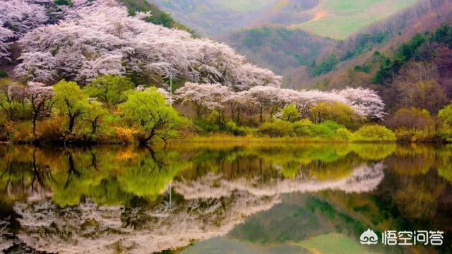 诗情画意的图片:诗词摄影：“春去花还在，人来鸟不惊”的意境如何拍摄？