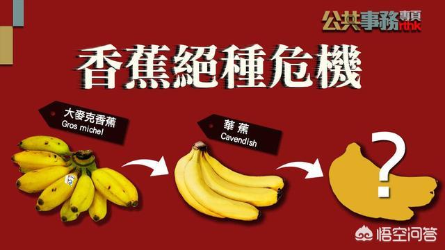 患了葡萄膜炎可以同房吗:白内障手术有后遗症吗？为什么？