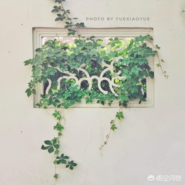 怎么从<a href=https://maguai.com/list/55-0-0.html target=_blank class=infotextkey>生活</a>中发现或者创造出小区域摄影美景你有技巧可分享吗