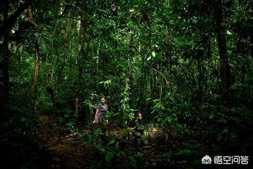 亚马逊部落人的生活，为什么有人说亚马逊雨林是人类禁区到底有多恐怖