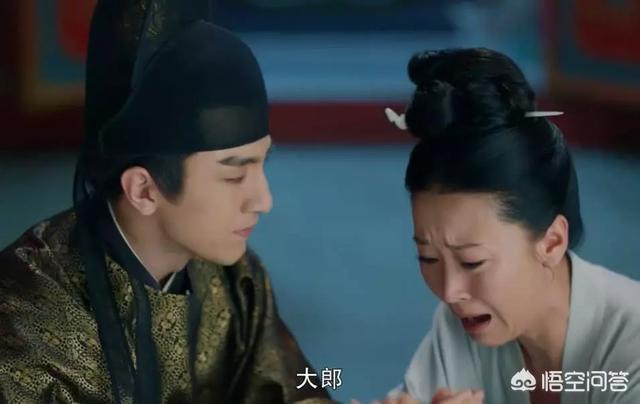 鹤唳华亭剧情介绍:《鹤唳华亭》到底讲了一个怎样的故事