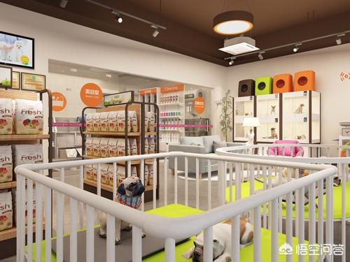 个人加盟宠物店加盟条件:开宠物店需要办理什么手续吗？