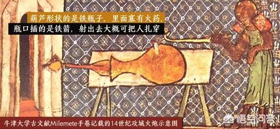 蓝尾金蜥做药材:为什么有些城里人喜欢到农村采挖野菜呢？