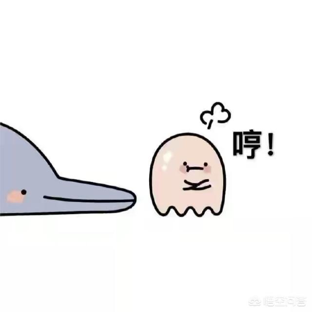 女朋友生气了怎么办？