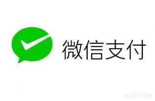 收款方式，支付方式大家都是使用哪些比如网银、云闪付、支付宝、微信