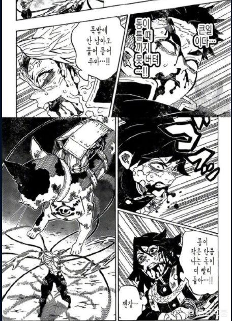 乔见猫封面:《鬼灭之刃》漫画最新一话有消息了吗？蛇柱还能挺住吗？
