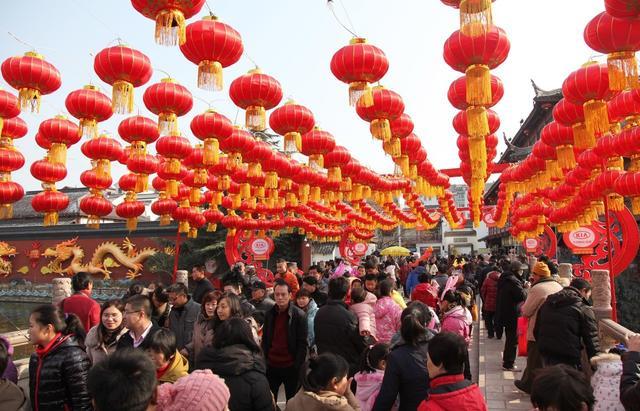 武强发现震旦鸦雀:盐城有哪些值得去的旅游景点