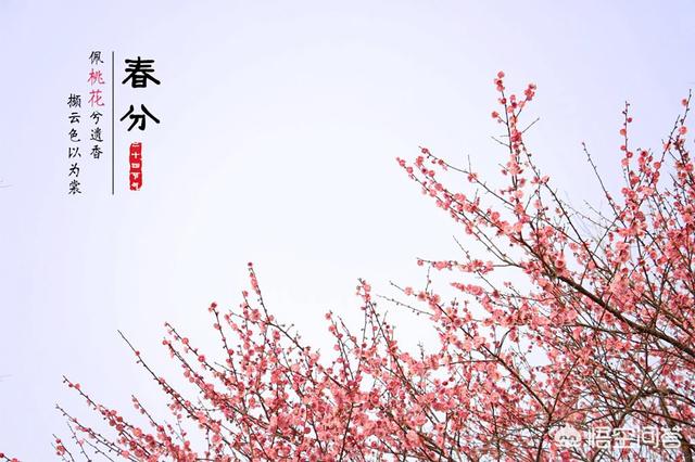 春分是哪一天:春分到了，春分有什么说法？
