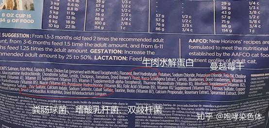 希尔斯猫粮:希尔斯猫粮好吗 哪个品牌的猫粮适合天生肠胃弱容易软便的猫？