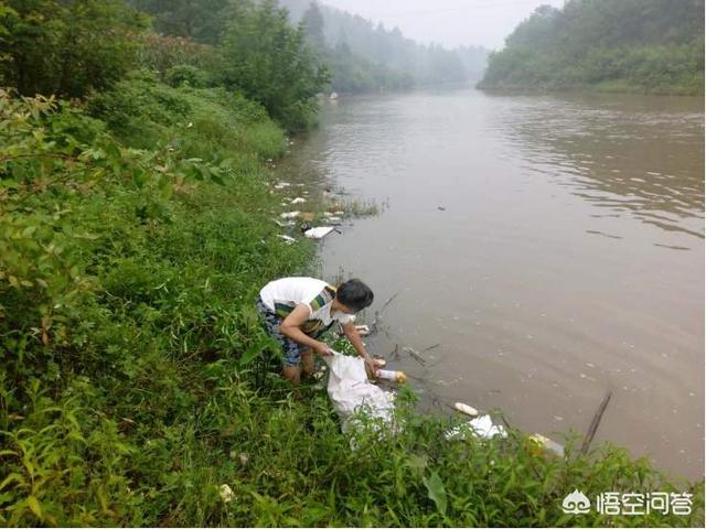 伏尔加河的鱼的个人空间:为什么很多小河里的野生鱼种都没有踪影了？