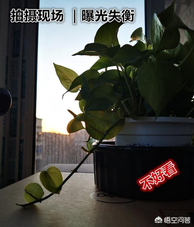 怎么从<a href=https://maguai.com/list/55-0-0.html target=_blank class=infotextkey>生活</a>中发现或者创造出小区域摄影美景你有技巧可分享吗