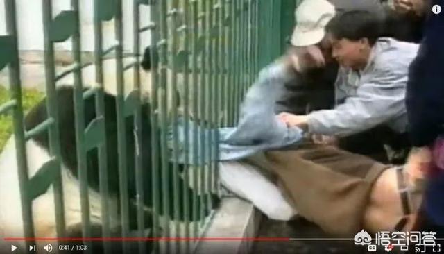 蚩尤骑熊猫:网上很多人说蚩尤打仗时骑着熊猫，出处在哪里？