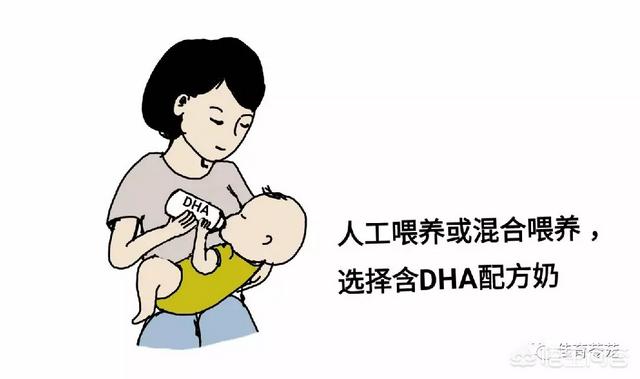 超乳改造乳怀孕网站:女人怀孕期间吃DHN真的有作用吗？
