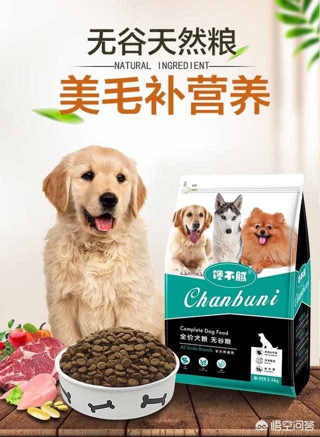 名犬杂志品牌及商品:无谷狗粮，什么牌子比较好？