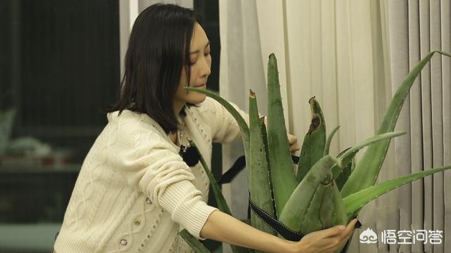 李维嘉结婚了吗:为什么有的人三十岁还没娶老婆你怎么看