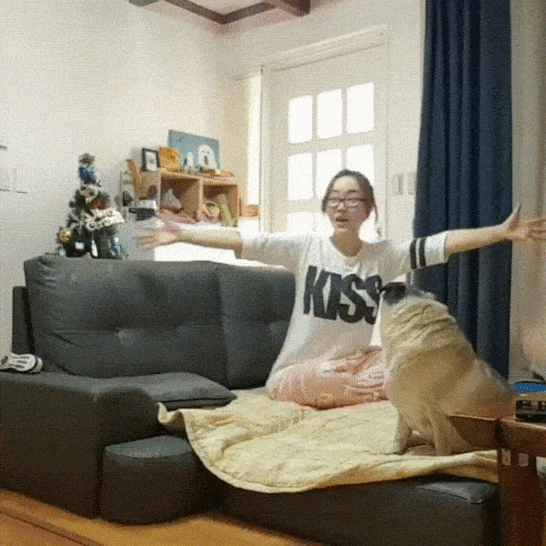 少女挤奶喂狗视频大全:为什么有些女性想单身终老？