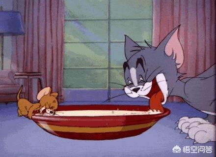 褴褛猫吧:《猫和老鼠》八十周年了吗？