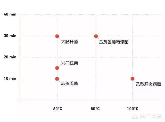 宠物餐具怎么消毒:狗碗要不要经常清洁啊？为什么？