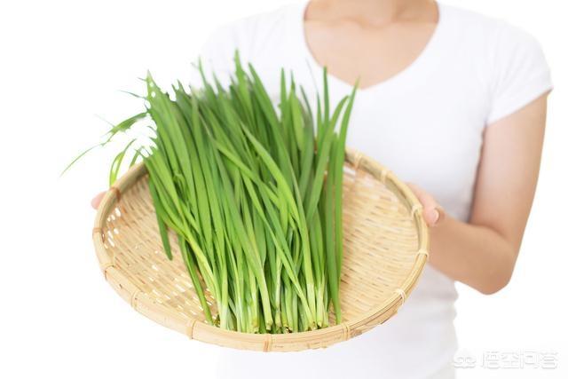 六种狗狗不能吃的食物:狗狗除了巧克力，还有什么东西不能吃，吃了会怎么样？