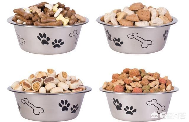 成年可卡吃什么狗粮好:英国斗牛犬吃什么狗粮好？