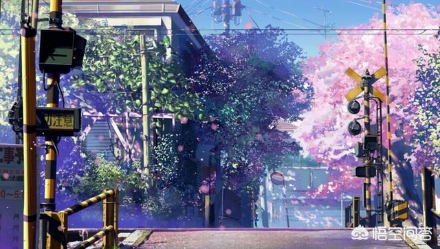 甜蜜猫猫01话:《猫和老鼠》动画还会更新吗？