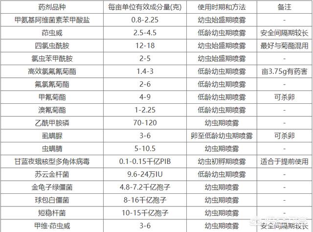 蜂鸟鹰蛾幼虫图片:小菜园里种的蔬菜生虫子，有不用打农药就能杀死虫子的办法吗？