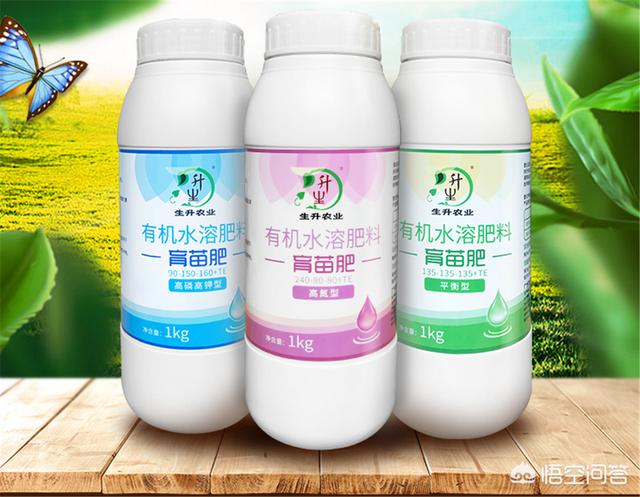 盆栽樱桃番茄种植方法:种植养育番茄的秘诀方法？