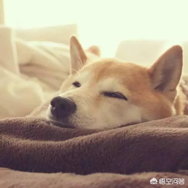 头条问答 - 我现在非常易怒,每天只想睡觉,对什么都没兴趣,我怎么了?