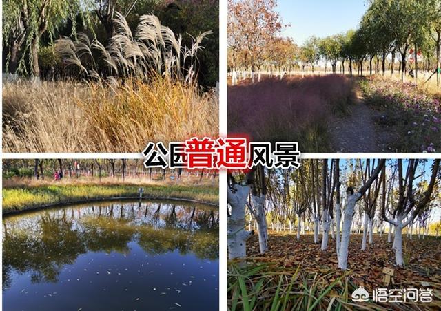 怎么从<a href=https://maguai.com/list/55-0-0.html target=_blank class=infotextkey>生活</a>中发现或者创造出小区域摄影美景你有技巧可分享吗