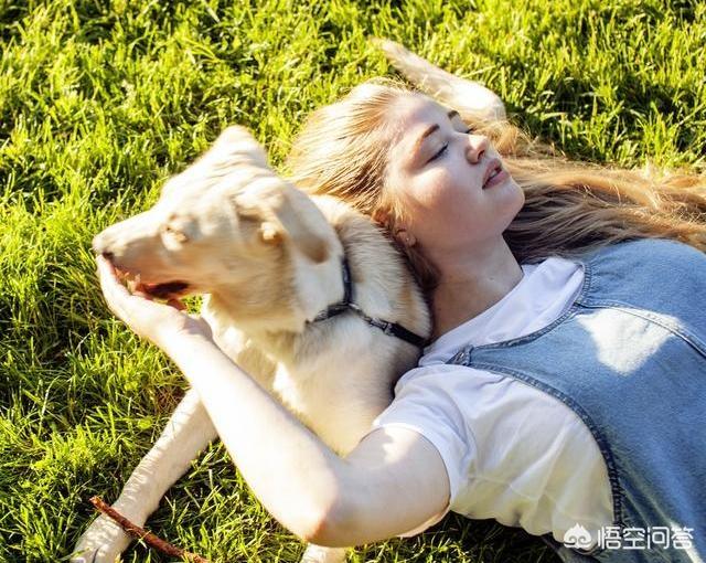 被自家小狗抓伤怎样判断用不用打狂犬疫苗:有被狗狗抓伤得狂犬病的吗？