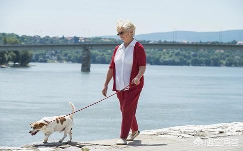 50岁后，想要健康长寿，应该注意哪些事？