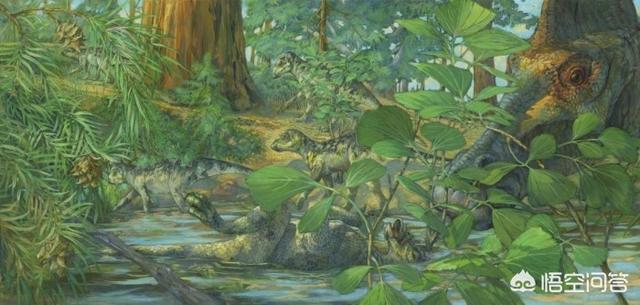 真实恐龙化石图片，恐龙化石中的细胞存活时间究竟有多长