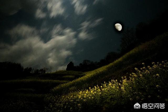 鸟鸣涧王维诗配画:诗词摄影：“人闲桂花落，夜静春山空”的意境如何拍摄？