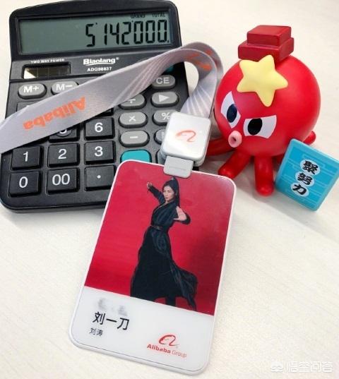 刘涛有几个孩子:刘涛加入阿里巴巴，明星为何入职企业，这么做会不会带坏小学生