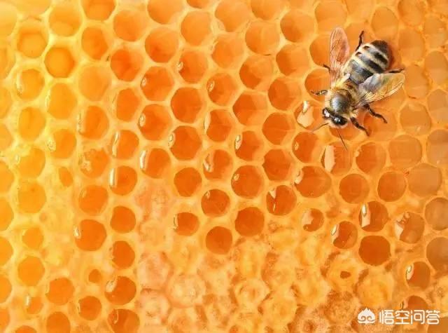 蜂蜜的作用和功效有哪些？