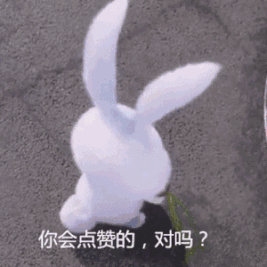 拔旗:历史上的满洲、旗人、旗族和现代满族是等同的吗