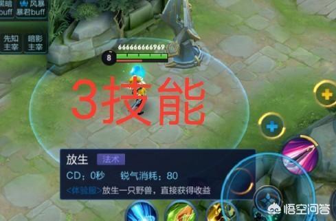 红拂女:王者荣耀“红拂女”被曝光，技能可控制野怪为己用，你期待吗？