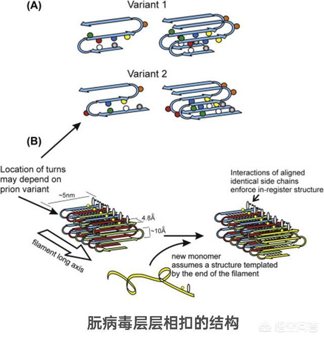 pasteur(pasteurisation)