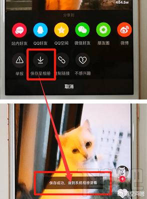 抖音不发布可以保存吗,抖音没有保存到相册怎么回事？