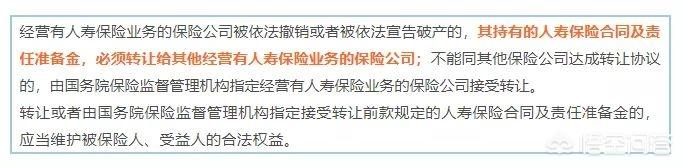 如何避免掉入黑嘴设下的陷阱，保险小白购买人身险如何更好地避坑