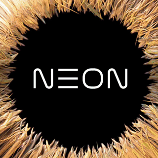 推特官方网站，三星近期预告的NEON，到底是一个怎样的项目