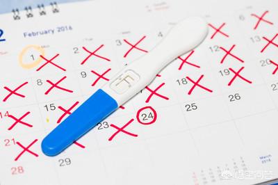 悟空问答 如何确定排卵期 花醒育儿的回答 0赞