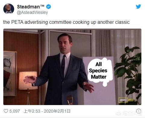 super休普狗碗:PETA超级碗广告为何导致推特网友的反感？
