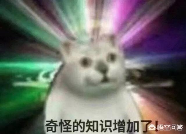 塞尔达传说：旷野之息中有哪些细思恐极的细节？