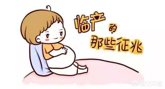 女人分娩前有什么征兆:临近预产期，孕妈身体一般会出现哪些信号？