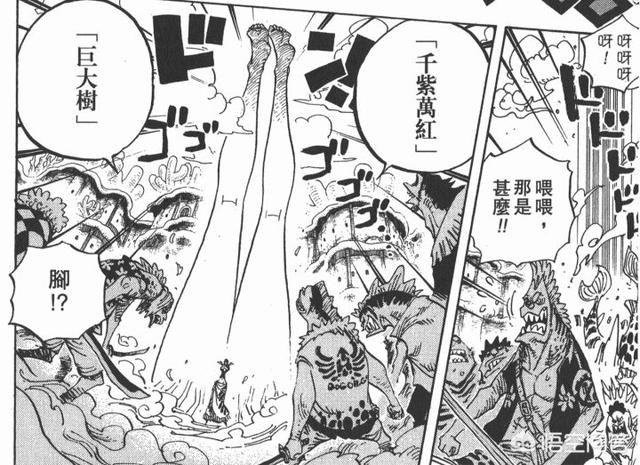 《海贼王》罗宾为什么会往巨大化方面开发能力？